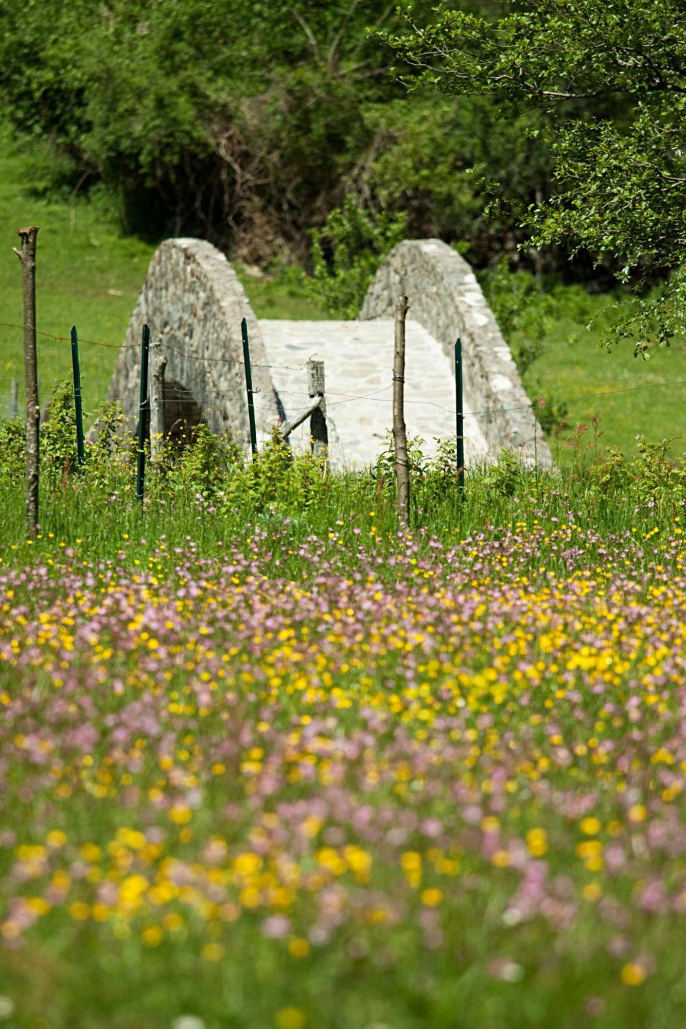 Bed and Breakfast Agriturismo Mulino Marghen - Restored Watermill - Retreat Center Zeri Екстер'єр фото